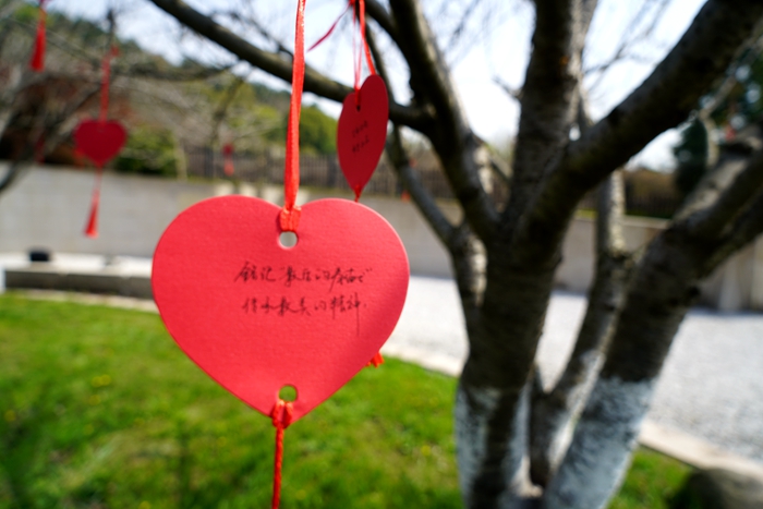 DSC06792_副本.jpg