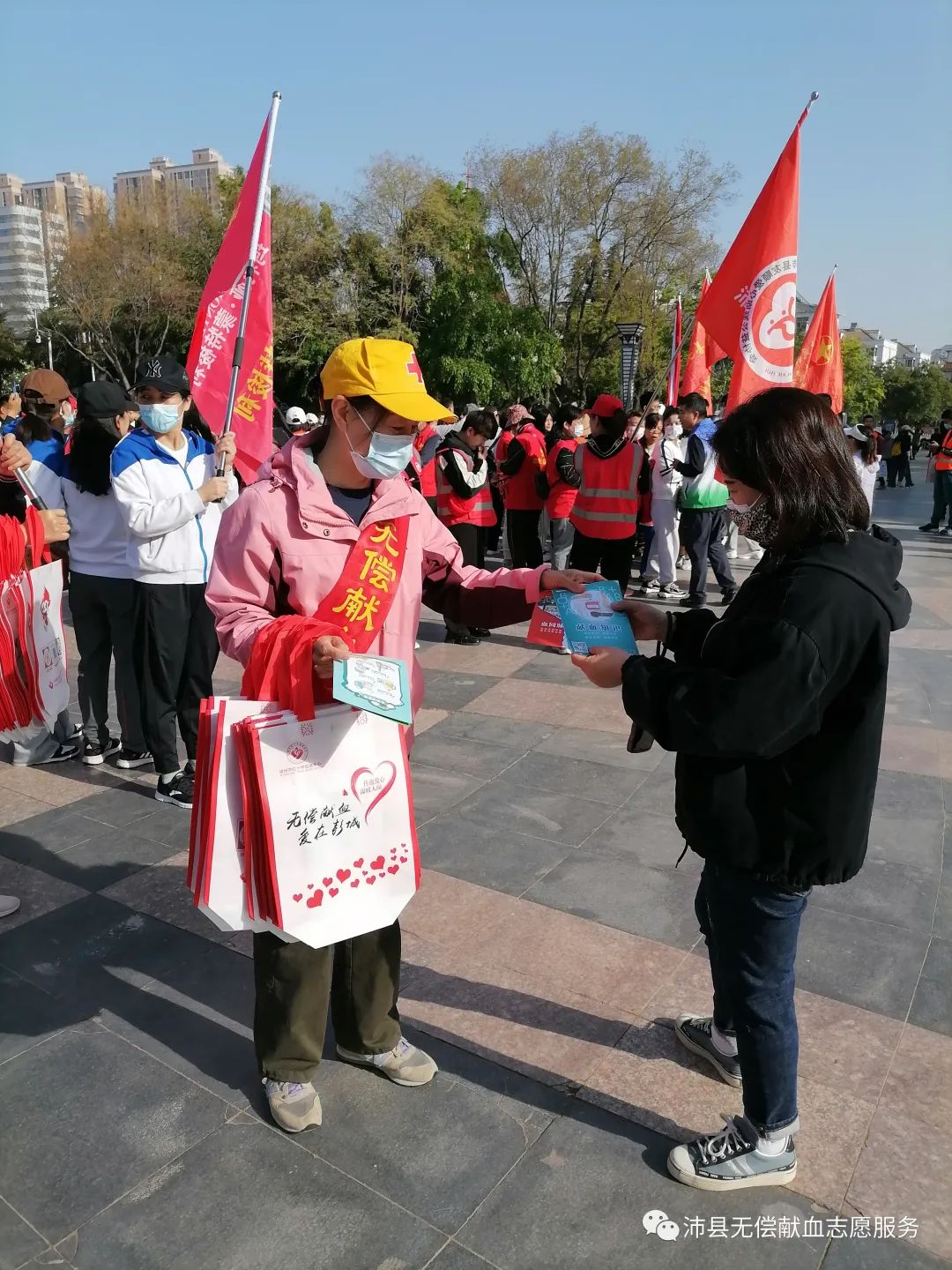 图片 1.png