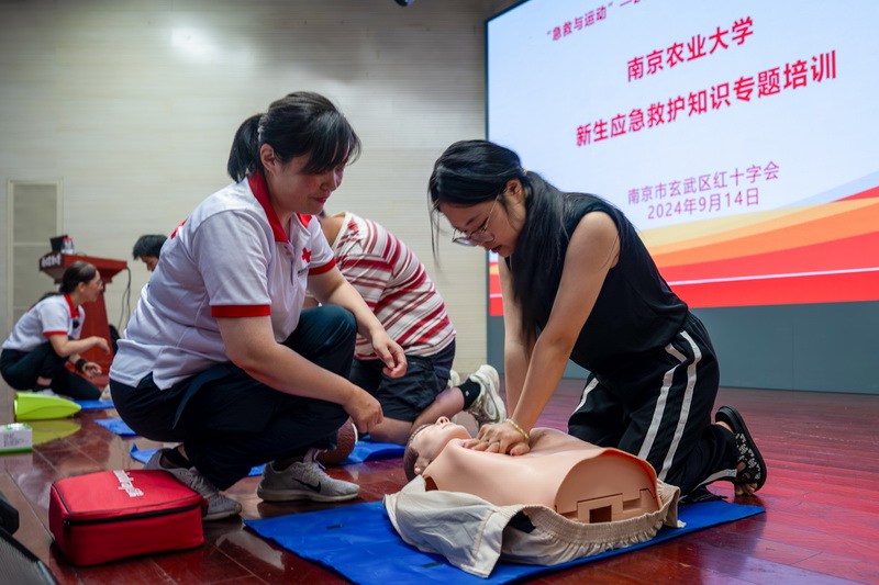 南京农业大学新生应急救护培训1.jpg